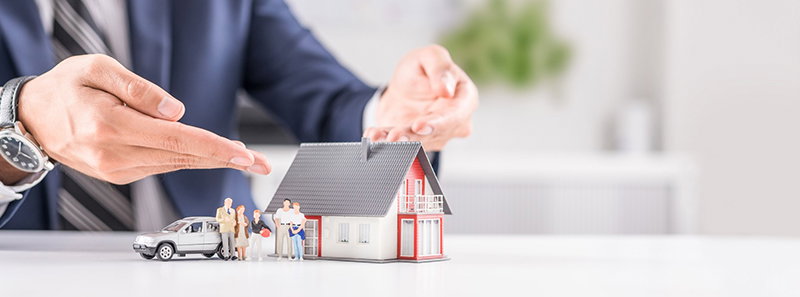 Life Insurance and Wealth Protection